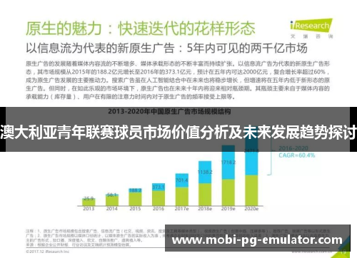 澳大利亚青年联赛球员市场价值分析及未来发展趋势探讨