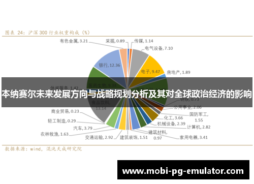 本纳赛尔未来发展方向与战略规划分析及其对全球政治经济的影响