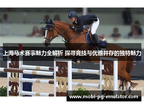 上海马术赛事魅力全解析 探寻竞技与优雅并存的独特魅力