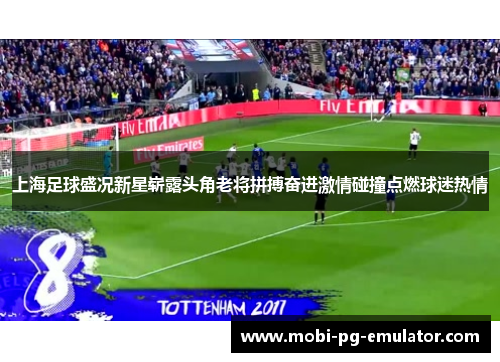 上海足球盛况新星崭露头角老将拼搏奋进激情碰撞点燃球迷热情