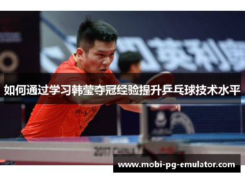 如何通过学习韩莹夺冠经验提升乒乓球技术水平