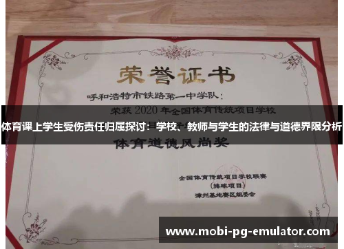 体育课上学生受伤责任归属探讨：学校、教师与学生的法律与道德界限分析