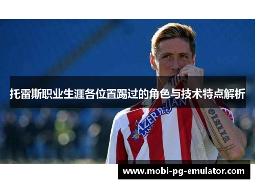 托雷斯职业生涯各位置踢过的角色与技术特点解析