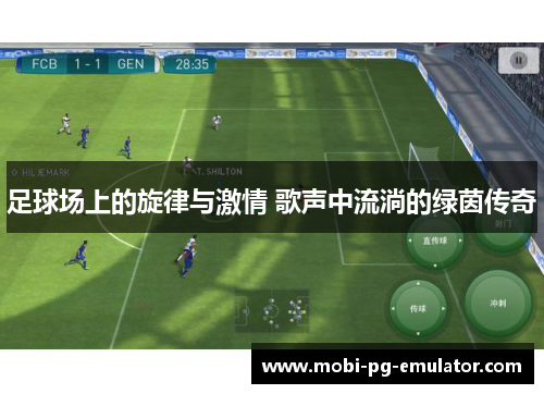 足球场上的旋律与激情 歌声中流淌的绿茵传奇
