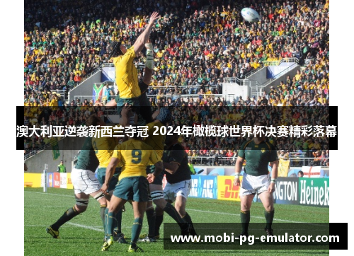 澳大利亚逆袭新西兰夺冠 2024年橄榄球世界杯决赛精彩落幕