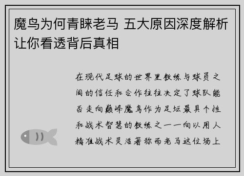 魔鸟为何青睐老马 五大原因深度解析让你看透背后真相